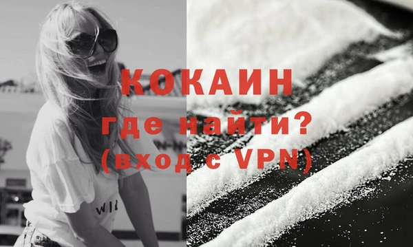 PSILOCYBIN Каменногорск