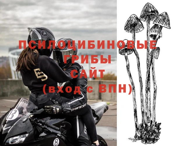 ECSTASY Инсар
