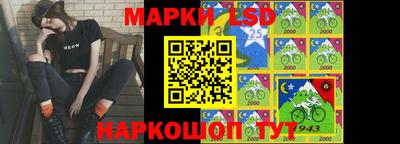 spice Кингисепп