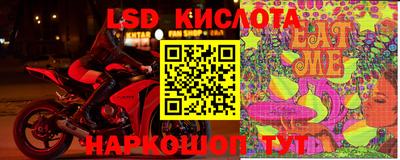 spice Кингисепп