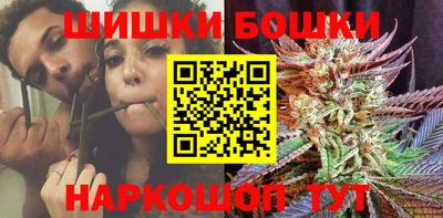 spice Кингисепп
