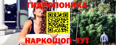 круглые Кимры