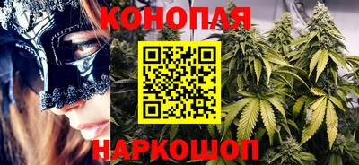 spice Кингисепп